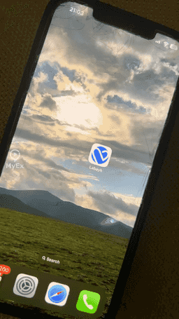 Explanation of Labayh application for consultations