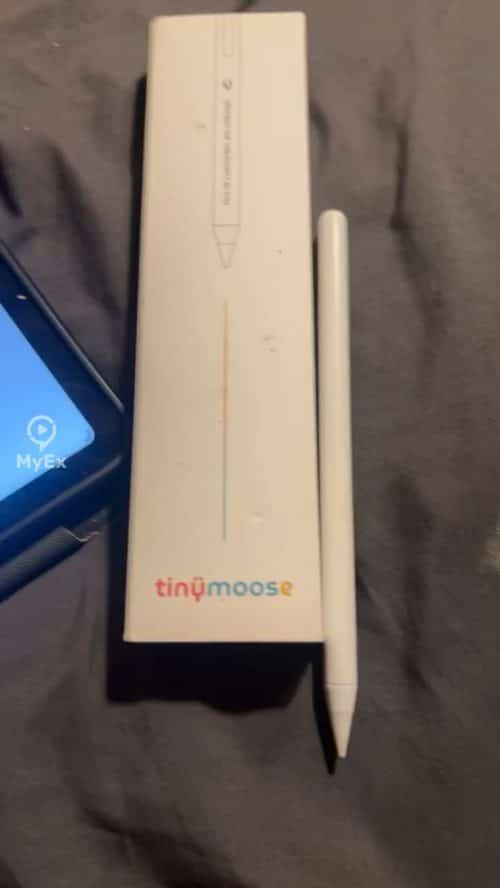 Pinakamahusay na alternatibo sa Apple Pencil - image on MyEx