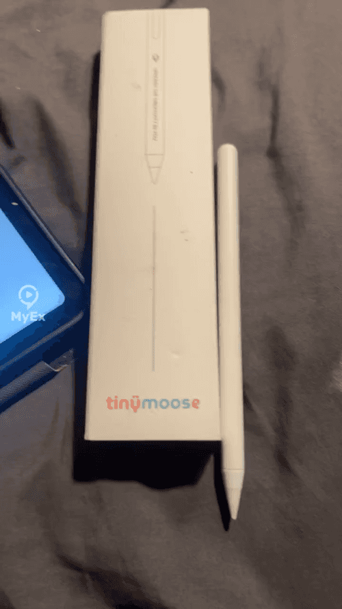 Pinakamahusay na alternatibo sa Apple Pencil - image on MyEx