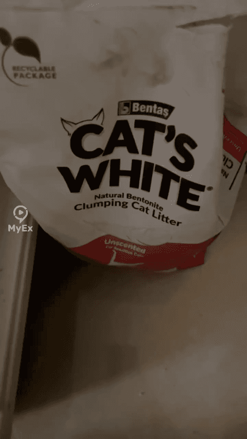 Ang Aking Karanasan sa Cat Litter mula sa Noon: Kahanga-hanga at Walang Amoy - image on MyEx
