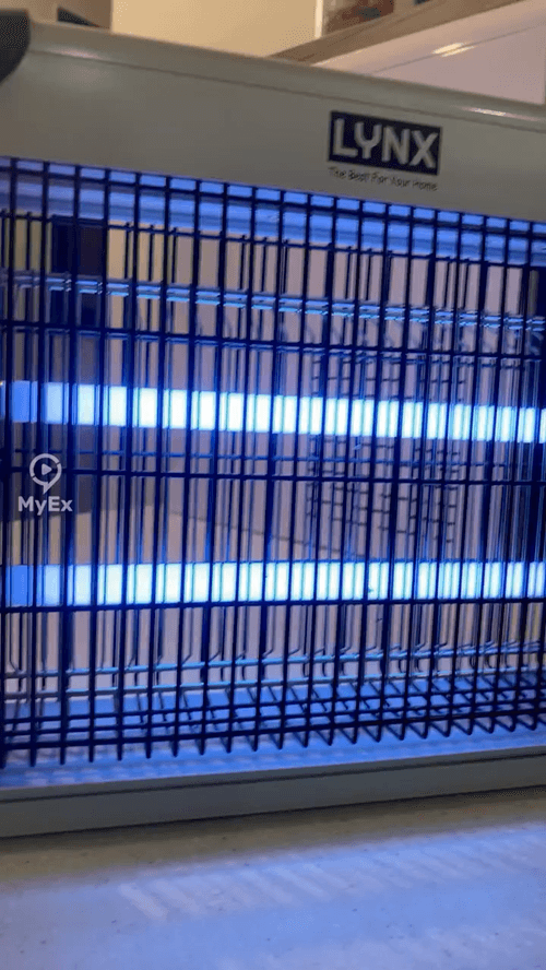 My experience with the insect zapper - image on MyEx