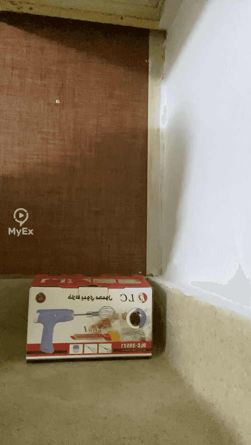 Ang Aking Karanasan sa DLC Portable Hand Blender - image on MyEx