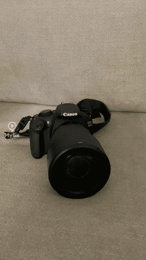 Canon EOS R50 - A camera that makes eye-catching content after trying it out - image on MyEx